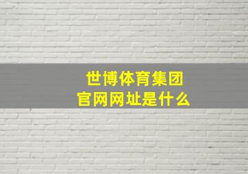 世博体育集团官网网址是什么